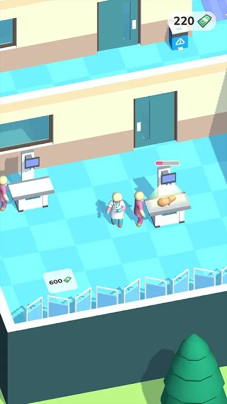 A gameplay screenshot showing different animals being treated.