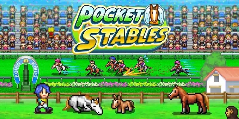 A screenshot of the Pocket Stables game showing the horse racing track and surrounding facilities.