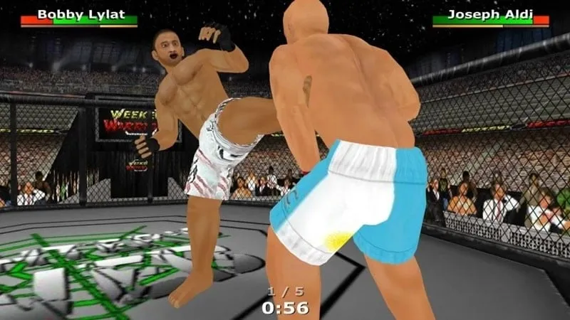 Action-packed gameplay in Weekend Warriors MMA.