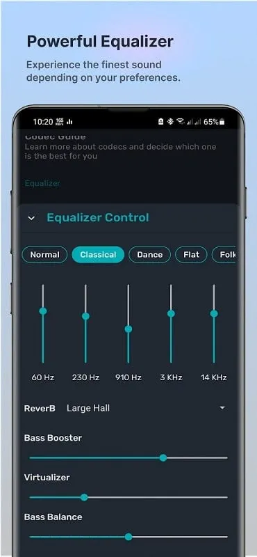 Bluetooth Codec Changer mod showcasing advanced settings