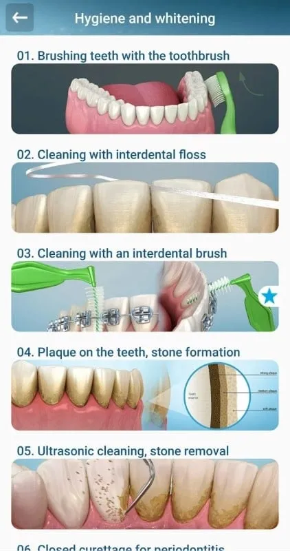 Dental 3D Illustrations mod free