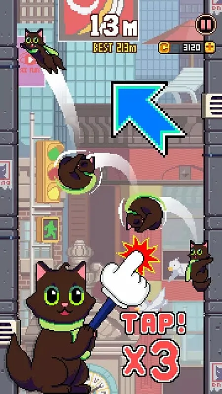 Different Cat Jump game modes.