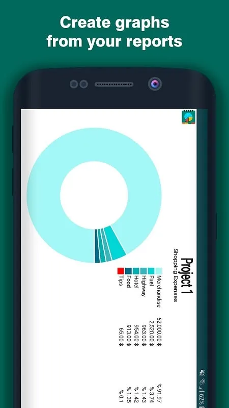 Example of a report in Shopping Expenses