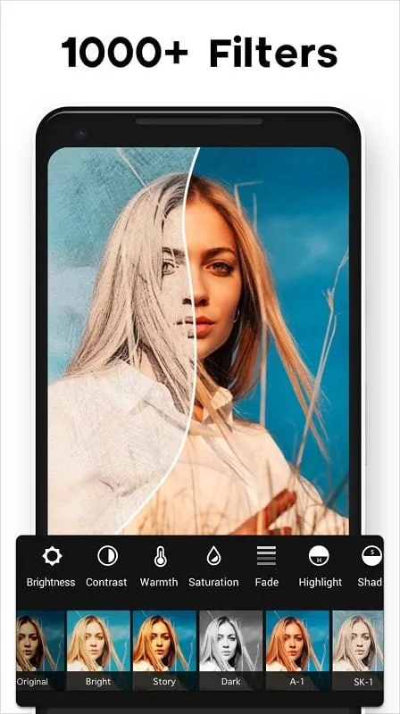 Example of Photo Editor Pro mod collage feature