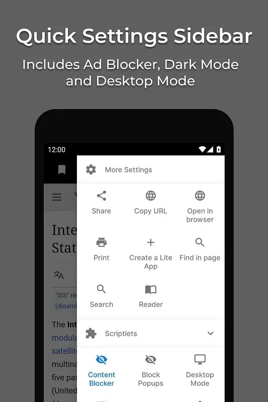 Example of using Hermit Mod APK to create a lite app