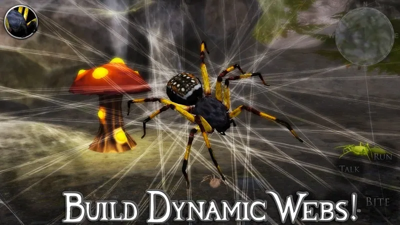 Exploring the in-game environment as a spider.