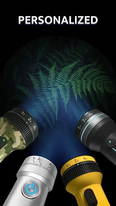 Flashlight Plus mod interface showing premium features