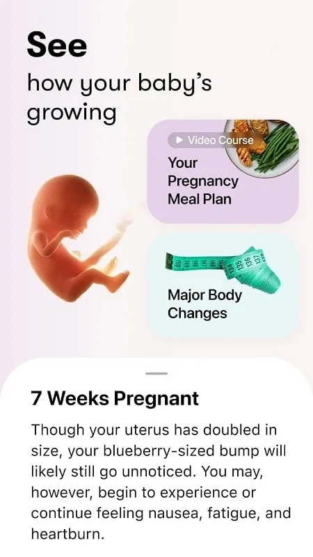 Flo Period Pregnancy Tracker mod apk