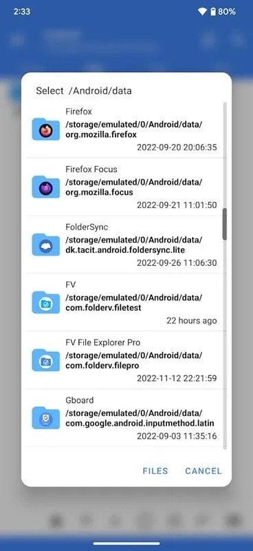 FV File Pro troubleshooting tips