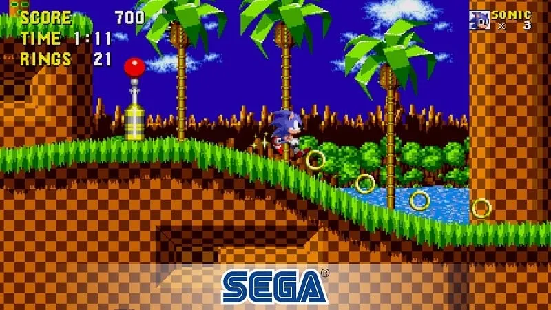 Gameplay screenshot of Sonic the Hedgehog Classic MOD APK showcasing unlocked characters.