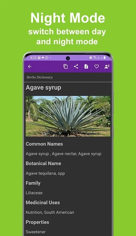 Herbs Dictionary Pro mod android 