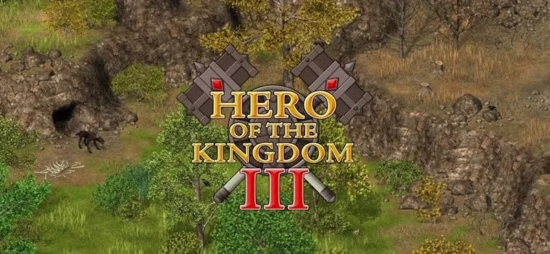 Hero of the Kingdom III opening screen.