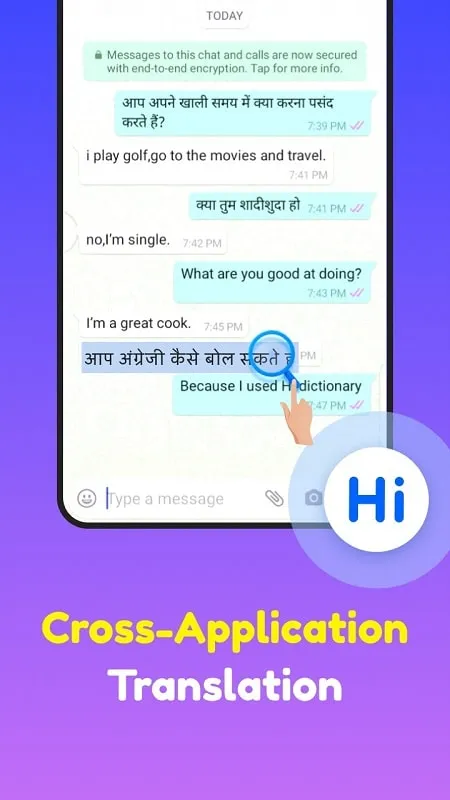 Download Hi Dictionary MOD APK terbaru