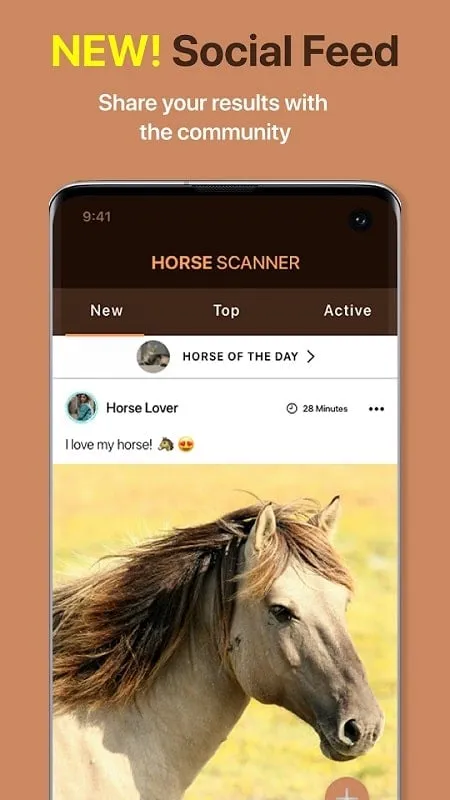 Horse Scanner para Android gratis