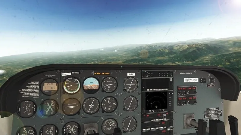 In-game screenshot showcasing a customized aircraft in flight.