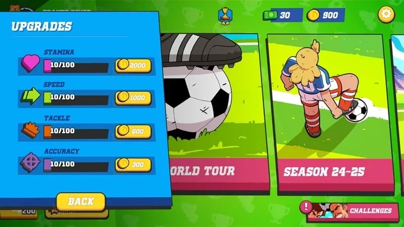 In-game screenshot showcasing the diverse player customization options.