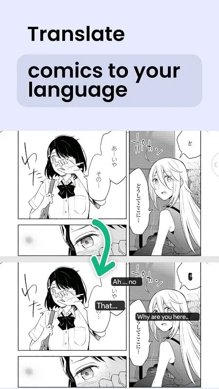 Instant Translate On Screen offline translation