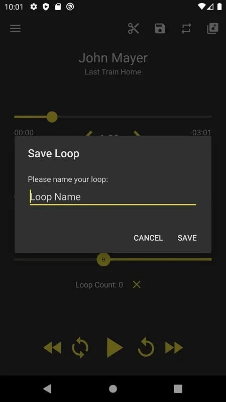 Loop Player mod showcasing multiple loop records