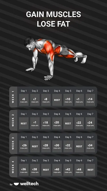 Muscle Booster Workout Planner Exercise demonstration