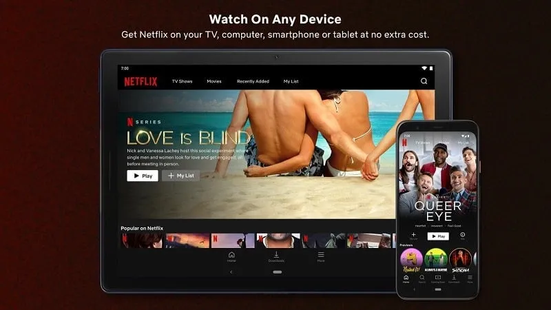 Netflix MOD APK interface showcasing download option