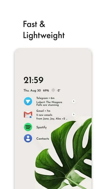 Niagara Launcher mod customization options