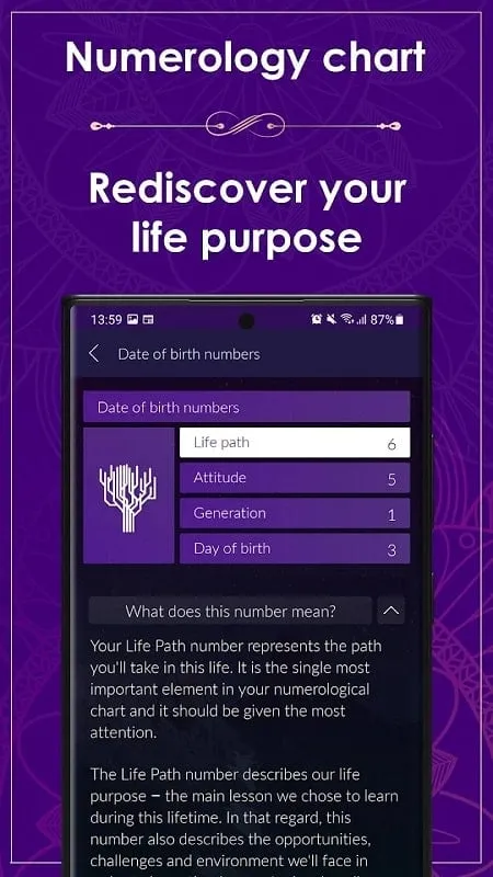 Numerology app daily predictions interface