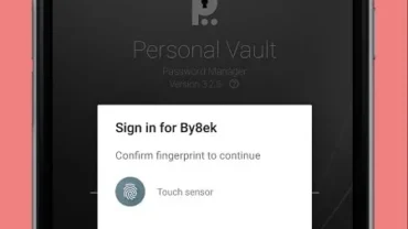 Personal Vault PRO mod interface showing premium features