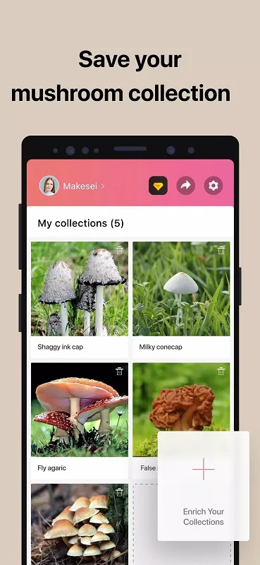 Picture Mushroom user collected mushrooms list