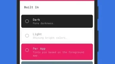 Pie Controls settings screen displaying various customization options.