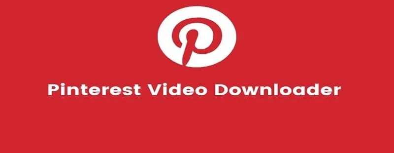 Interface do Pinterest Video Downloader MOD mostrando os recursos premium