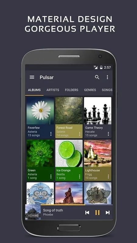 Pulsar Music Player Pro installation guide