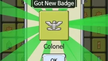 Raising Rank Insignia mod free