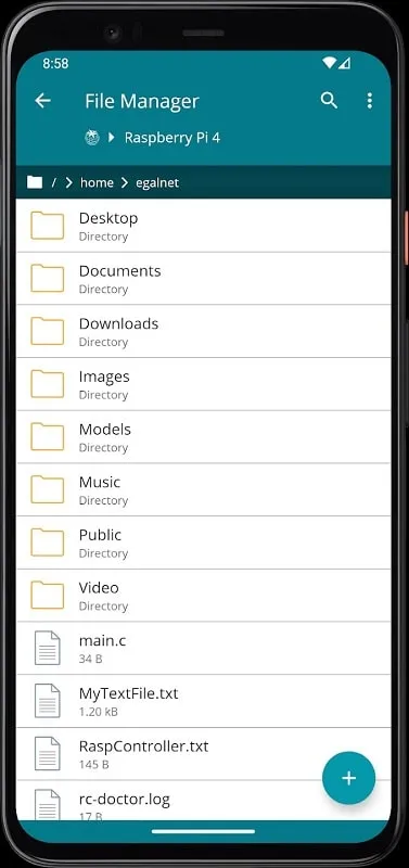 RaspController app showcasing file organization