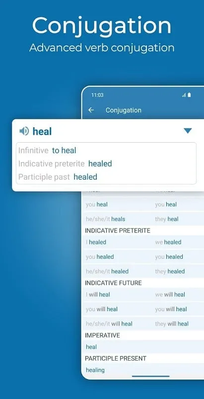 Reverso Translate and Learn mod showcasing vocabulary features