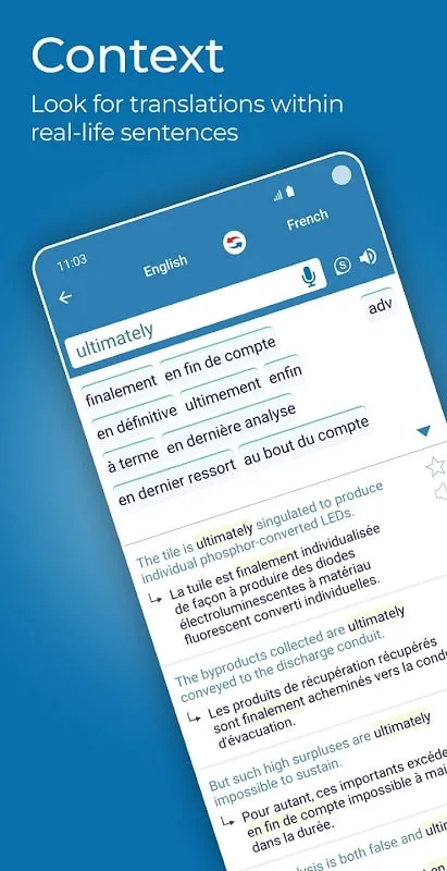 Reverso Translate and Learn premium features unlocked