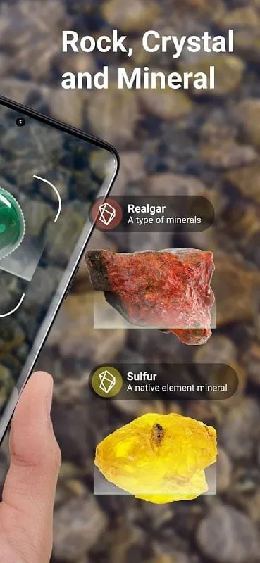 Rock Identifier Stone ID mod interface showing premium features