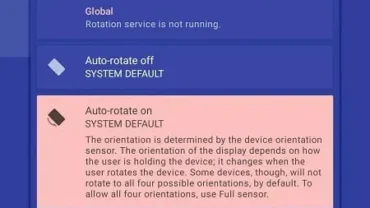 Rotation Orientation Manager mod interface showing premium features