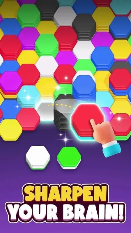 Screenshot showing the successful installation of Hexa Sort MOD APK and the game running smoothly on an Android device, indicating resolved troubleshooting issues.