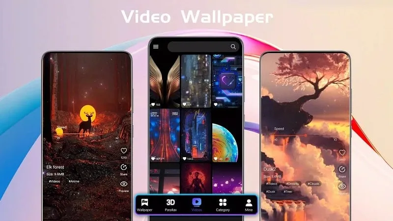 Showcase of diverse themes available in X Live Wallpaper