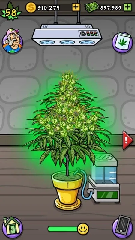 Step-by-step guide demonstrating the installation of the Bud Farm: Grass Roots MOD APK on an Android smartphone.