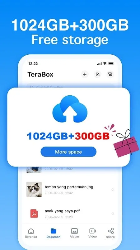 Terabox mod interface showing premium features