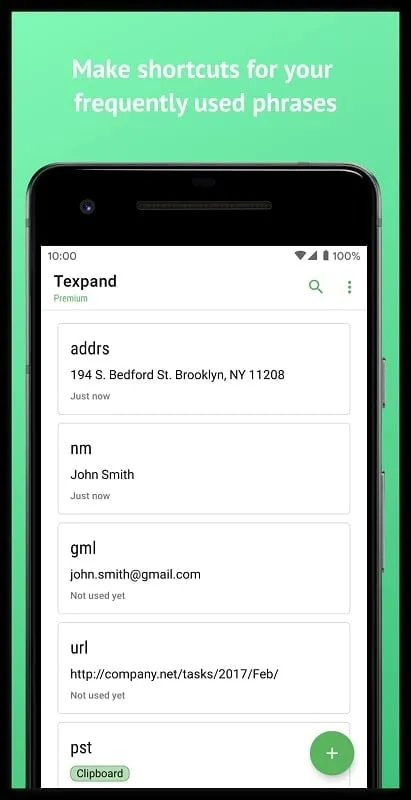 Texpand Text Expander mod interface showing premium features