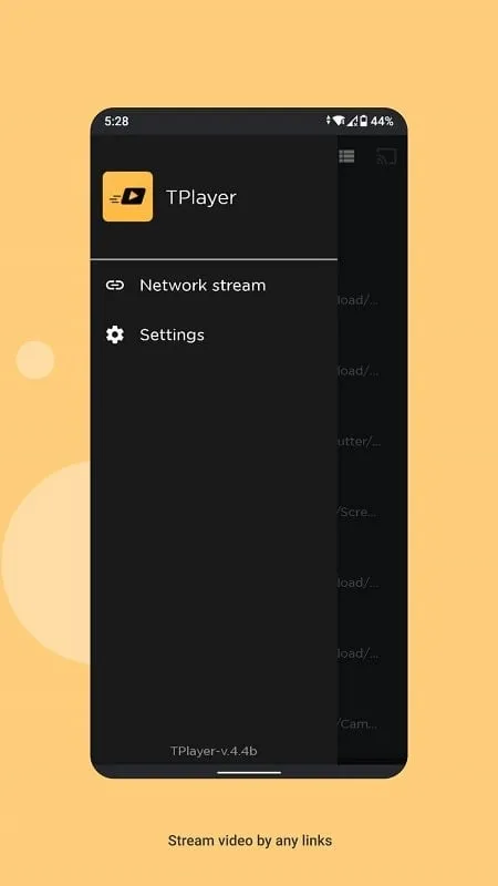 TPlayer mod video playback features