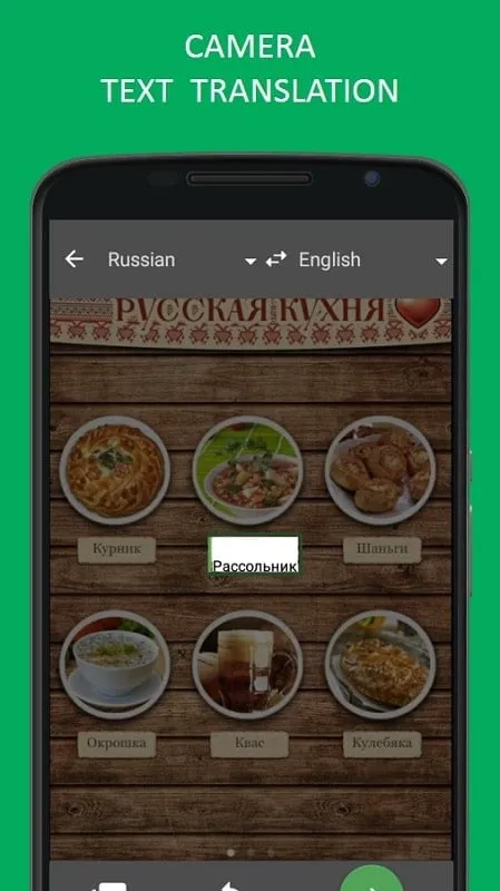 Solusi masalah di Translator PROMT.One MOD APK