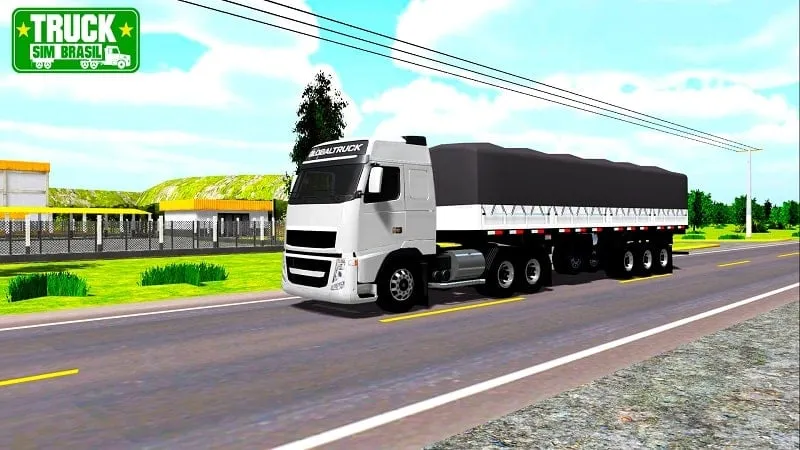 Truck Sim Brasil Installation Guide