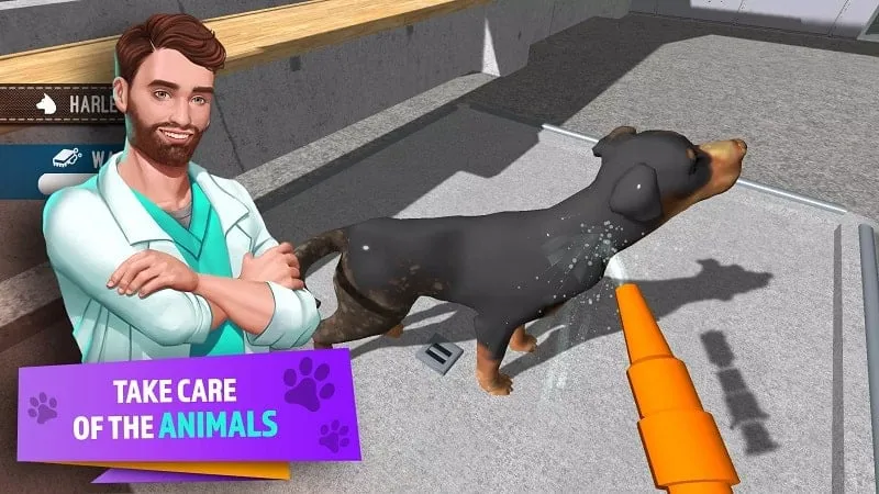 Atualizando instalações no jogo Animal Shelter Simulator usando dinheiro infinito.