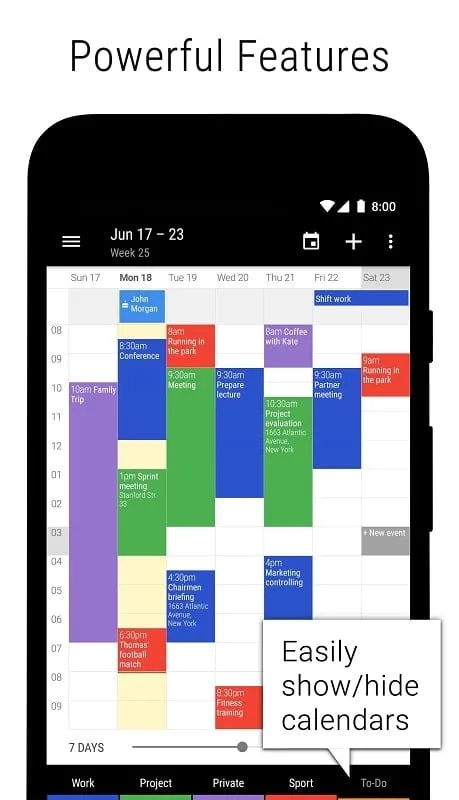 Menggunakan tampilan kalender yang berbeda di Business Calendar 2 Mod