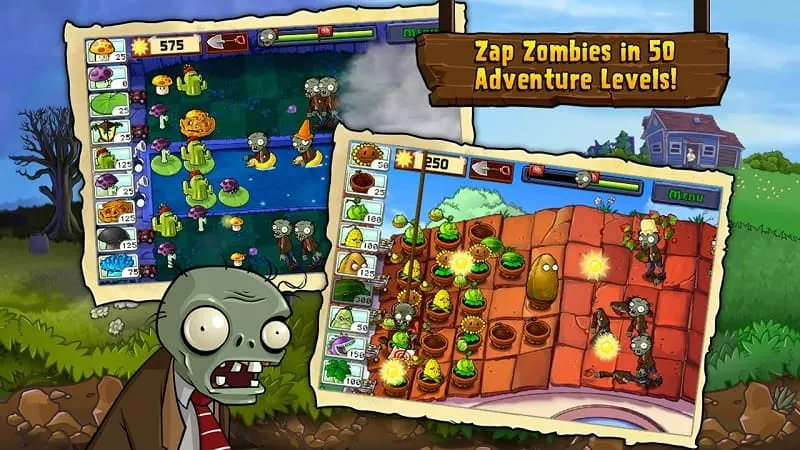 Variety of plants in Plants vs. Zombies mod.