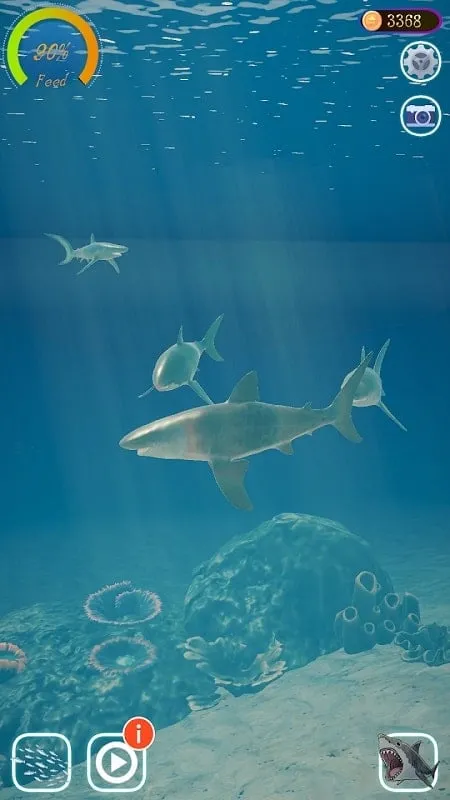 Various marine creatures encountered in the Shark Ocean game.