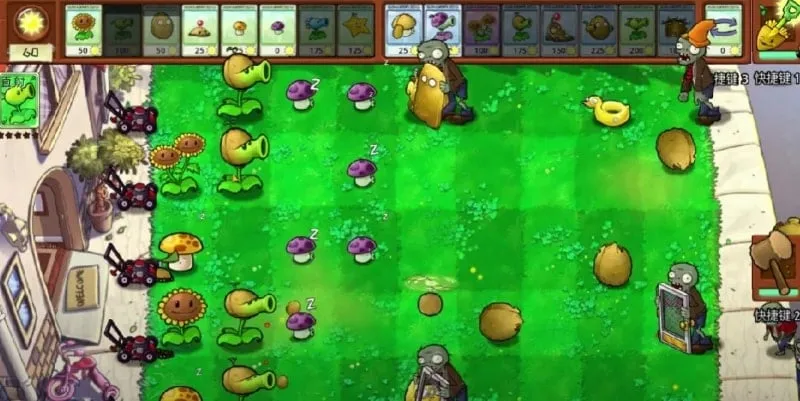 Various plant options available for strategic deployment in Plants vs. Zombies Grafted.